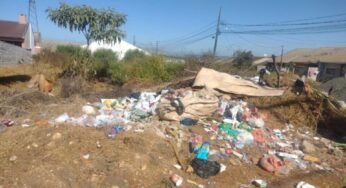 Moradores denunciam riscos de terreno baldio abandonado em PG