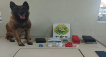 Polícia apreende grande quantidade de entorpecentes em Uvaranas
