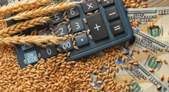 STF decidirá se produtores rurais e agroindústrias devem pagar Senar sobre exportação
