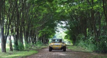 Fomento Paraná tem R$ 23,3 milhões disponíveis para investimentos no setor de turismo