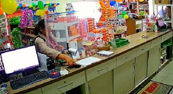 Câmeras de segurança flagram mulher furtando celular em pet shop de PG