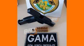 Homem atira contra cães para separar briga em PG