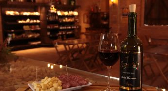 Explore os sabores da Rota do Vinho com a Fátima Viagens!