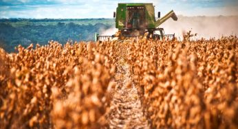 Mais de 28 milhões de pessoas trabalham com agronegócio no Brasil, diz pesquisa