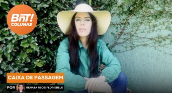Caixa de Passagem, por Renata Regis Florisbelo