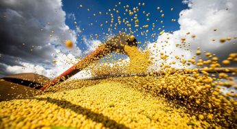 Produção de grãos no Brasil atinge recorde e tem alta de 18,4% em 2022/2023