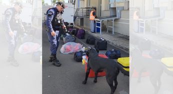 Prefeitura intensificará fiscalização de bagagens no aeroporto de PG com a Guarda Municipal