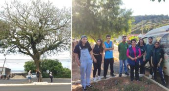 Secretaria de Meio Ambiente e UEPG mapeiam árvores de Ponta Grossa