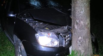 Motorista embriagado colide com árvore no Jardim Giana