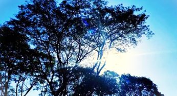 Ponta Grossa poderá ter fim de semana com maior temperatura desde 1958