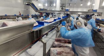 Paraná bate recorde de contratações via Agências do Trabalhador no mês de agosto