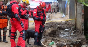 Paraná manda bombeiros e cães de resgate para ajudar o Rio Grande do Sul