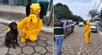Prefeitura de Tibagi comemora o Dia Mundial dos Animais com blitz informativa