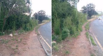 Falta de calçada e vegetação alta em rua de Uvaranas preocupam moradores