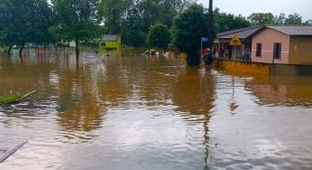 Governo doará 2 toneladas de alimentos a Porto Amazonas após enchentes. Cidades da região estão sem abastecimento