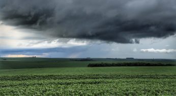 Chuvas causaram mais impacto nas lavouras do Sul do Paraná