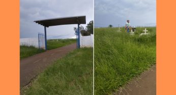 Moradores de Uvaranas denunciam abandono no Cemitério Vicentino