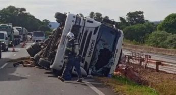 Caminhão tomba e interdita BR-376 próximo ao Parque Vila Velha