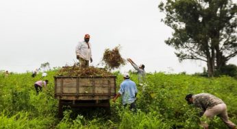Justiça homologa acordo envolvendo Fazenda Capão do Cipó em Castro