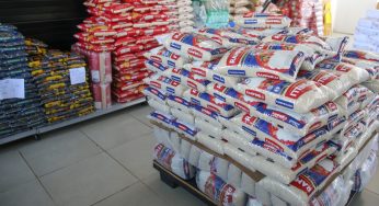 Preços de alimentos e bebidas caíram 0,14% no Paraná em 2023, aponta Ipardes