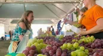 Último fim de semana da Fesuva em PG promete feira gastronômica e música ao vivo