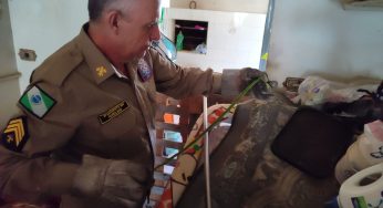 Bombeiros capturam cobra em garagem de residência no Santa Paula