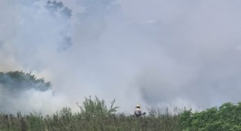 Incêndio em terreno baldio mobiliza bombeiros em PG