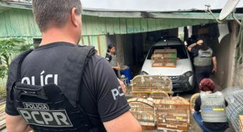 Polícia Civil do PR deflagra operação contra organização ligada ao tráfico de animais silvestres em todo país