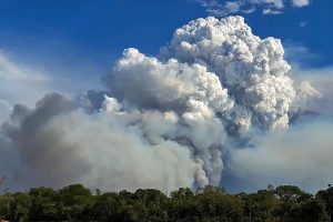 Novo Fundo Clima é aprovado com R$ 10,4 bi para projetos