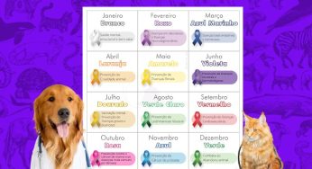 Mercado veterinário e pet adotam um calendário oficial