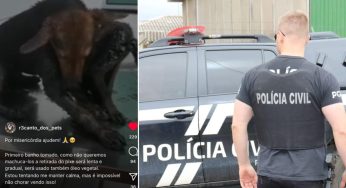 Polícia Civil indicia mulher por aplicar golpe em nome de ONG protetora de animais