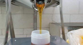 Unidade de Beneficiamento fomenta a produção de mel de qualidade em PG