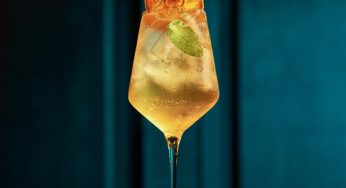 MONIN anuncia abertura de inscrições de campeonato global para bartenders