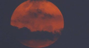 Lua Cheia Rosa ilumina os céus nesta terça-feira (23). Saiba como observar
