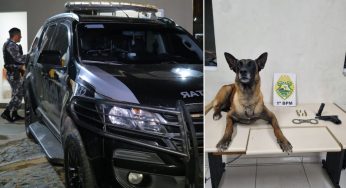 Equipe do Choque prende homem com drogas e pistola durante patrulhamento no Dalabona