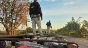 PRF apreende 2,5 toneladas de maconha que seria entregue em cidade da região