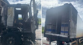 Incêndio destrói parte de caminhão-baú e cerca de 39 mil pintinhos morrem na PR-151