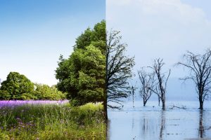 Evento de ESG terá mudanças climáticas como tema central