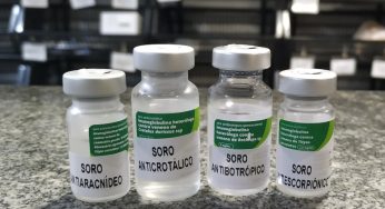 Lei que previa soro contra picada de animais peçonhentos nas UBSs de PG é vetada pela prefeita