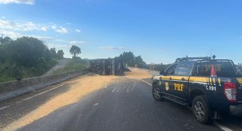 Caminhão carregado com milho tomba na rodovia entre PG e Curitiba