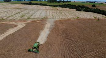 Vazio sanitário começa no Paraná. Confira quando será a vez dos Campos Gerais