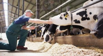 Elanco prevê crescimento global entre 2% e 3% para 2024