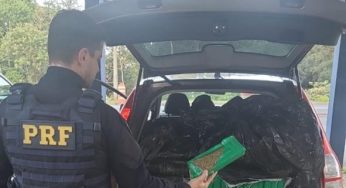Mulher é presa com mais de 300kg de maconha dentro de veículo em rodovia de PG