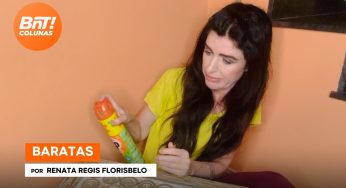 Baratas, por Renata Regis Florisbelo