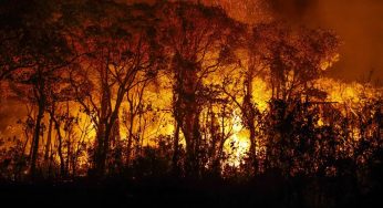 Mato Grosso do Sul decreta situação de emergência após graves incêndios no Pantanal