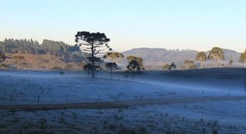 Massa de ar frio provoca queda de temperatura e geada no Sul do país neste sábado (29)