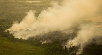 Força Nacional reforça equipe de combate a incêndios no Pantanal no MS