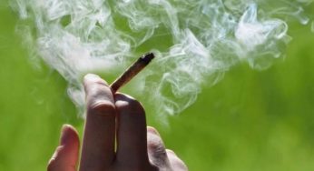 STF forma maioria para descriminalizar porte de maconha para uso pessoal