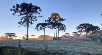 Veja quais as temperaturas mínimas registradas em Ponta Grossa e região neste domingo (30)