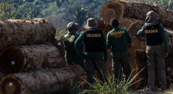 Servidores federais ambientais declaram greve no Paraná e em mais 24 estados